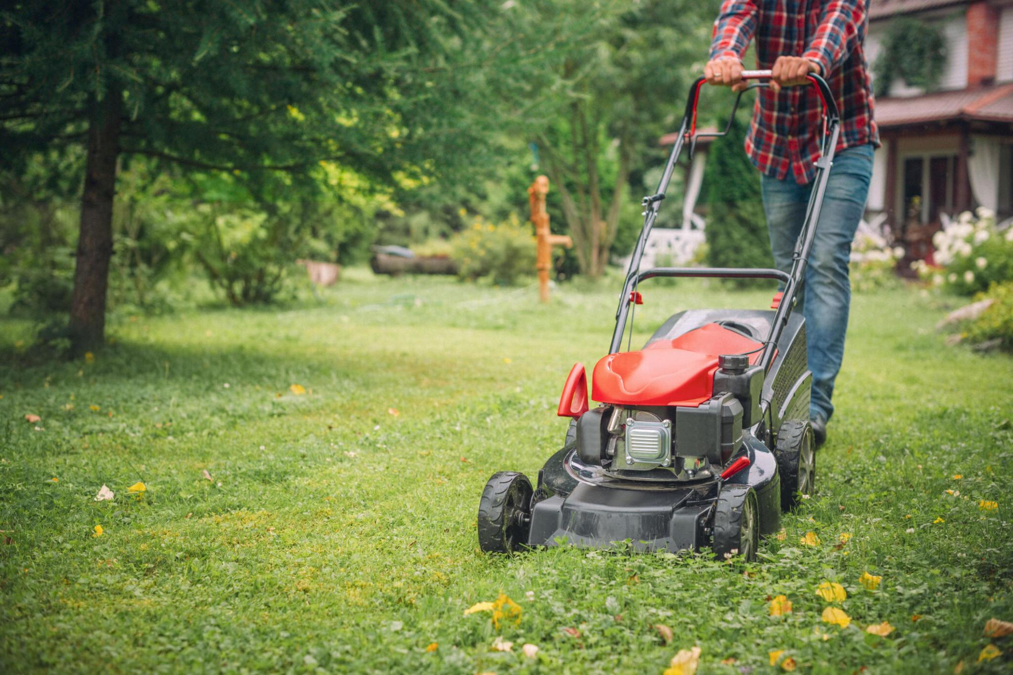 Lawn Care 101: Essential Techniques for a Beautiful Lawn